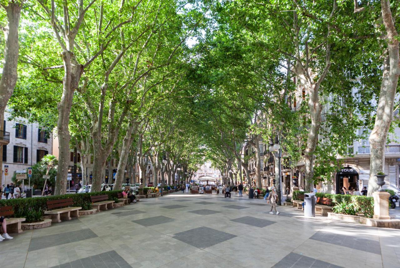 Nivia Born Boutique Hotel Palma de Mallorca Luaran gambar